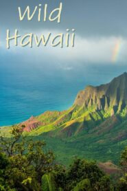 Wild Hawaii 2012 one on netflix