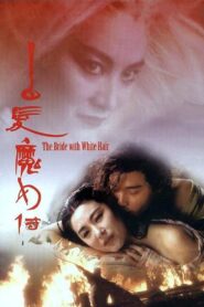 The Bride with White Hair 1993 one on netflix