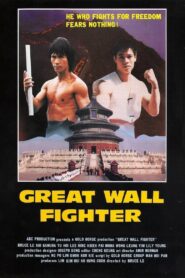 Fire on the Great Wall 1990 one on netflix