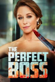 The Perfect Boss 2013 one on netflix