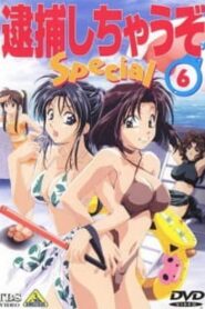 You’re Under Arrest! Diverting Traffic at the Beach 1997 one on netflix