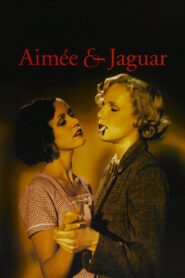 Aimée & Jaguar 1999 one on netflix