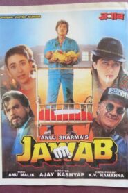 Jawab 1995 one on netflix