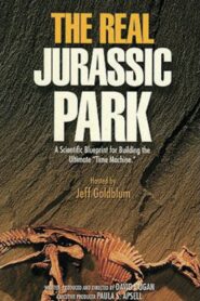 The Real Jurassic Park 1993 one on netflix