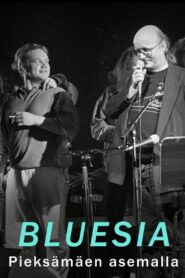 Bluesia Pieksämäen asemalla 2013 one on netflix