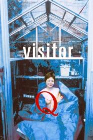 Visitor Q 2001 one on netflix