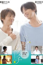 Shape of Happiness 2013 one on netflix