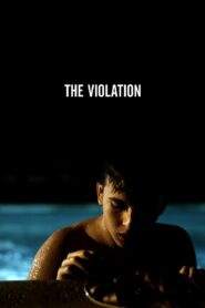 The Violation 2013 one on netflix