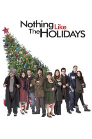 Nothing Like the Holidays 2008 one on netflix