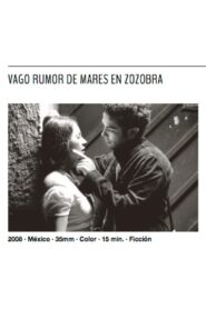 The Soft Rumor of Tumultuous Seas 2008 one on netflix