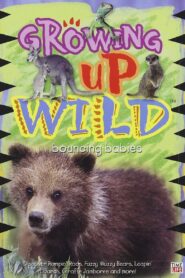 Growing Up Wild: Vol. 3: Bouncing Babies 1993 one on netflix