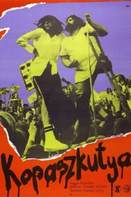 Bald Dog Rock 1981 one on netflix