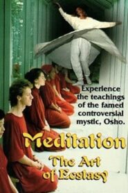 Meditation: The Art of Ecstasy 1999 one on netflix