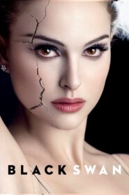 Black Swan 2010 one on netflix