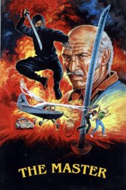 Master Ninja 1984 one on netflix