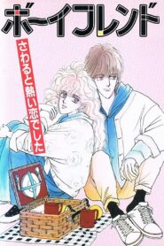 Boyfriend 1992 one on netflix