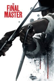 The Final Master 2015 one on netflix