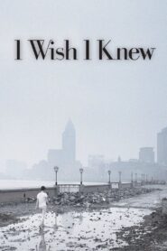 I Wish I Knew 2010 one on netflix