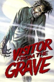 Visitor from the Grave 1980 one on netflix
