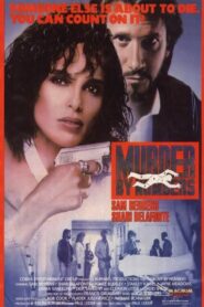 Murder by Numbers 1990 one on netflix