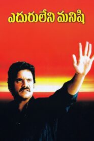 Eduruleni Manishi 2001 one on netflix