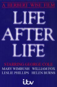 Life After Life 1990 one on netflix