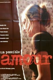 Un possible amour 2000 one on netflix