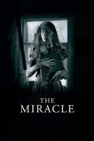 The Miracle 2009 one on netflix