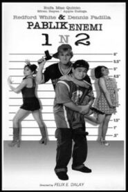 Pablik Enemi 1 n 2: Aksidental Heroes 1997 one on netflix