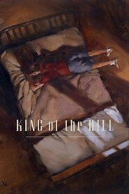King of the Hill 1993 one on netflix