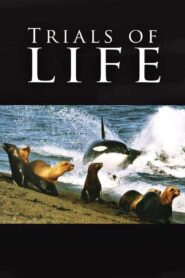 The Trials of Life 1990 one on netflix