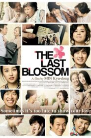 The Last Blossom 2011 one on netflix