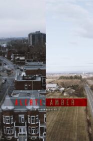 Alerte amber : le documentaire 2022 one on netflix