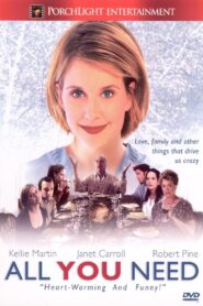 All You Need 2001 one on netflix