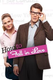 How to Fall in Love 2012 one on netflix