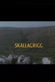 Skallagrigg 1994 one on netflix