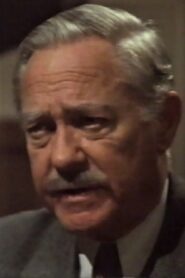 Beautiful Lies 1992 one on netflix