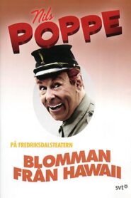Blomman från Hawaii 1992 one on netflix