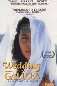 Wedding in Galilee 1987 one on netflix