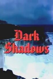 Dark Shadows 2005 one on netflix