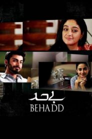Behadd 2013 one on netflix