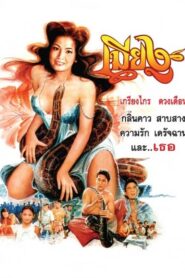 The Snake Wife 1994 one on netflix