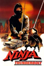 Ninja Thunderbolt 1984 one on netflix