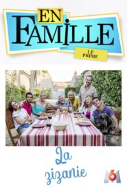En famille : La zizanie 2016 one on netflix