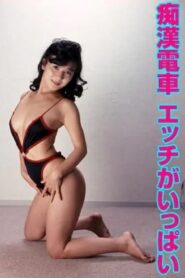 Chikan densha: Ecchi ga ippai 1988 one on netflix