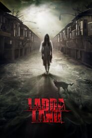 Laddaland 2011 one on netflix