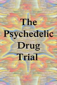 The Psychedelic Drug Trial 2021 one on netflix