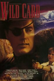 Wild Card 1992 one on netflix