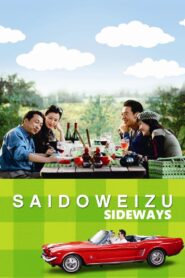 Sideways 2009 one on netflix