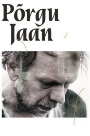 The Riddle of Jaan Niemand 2018 one on netflix